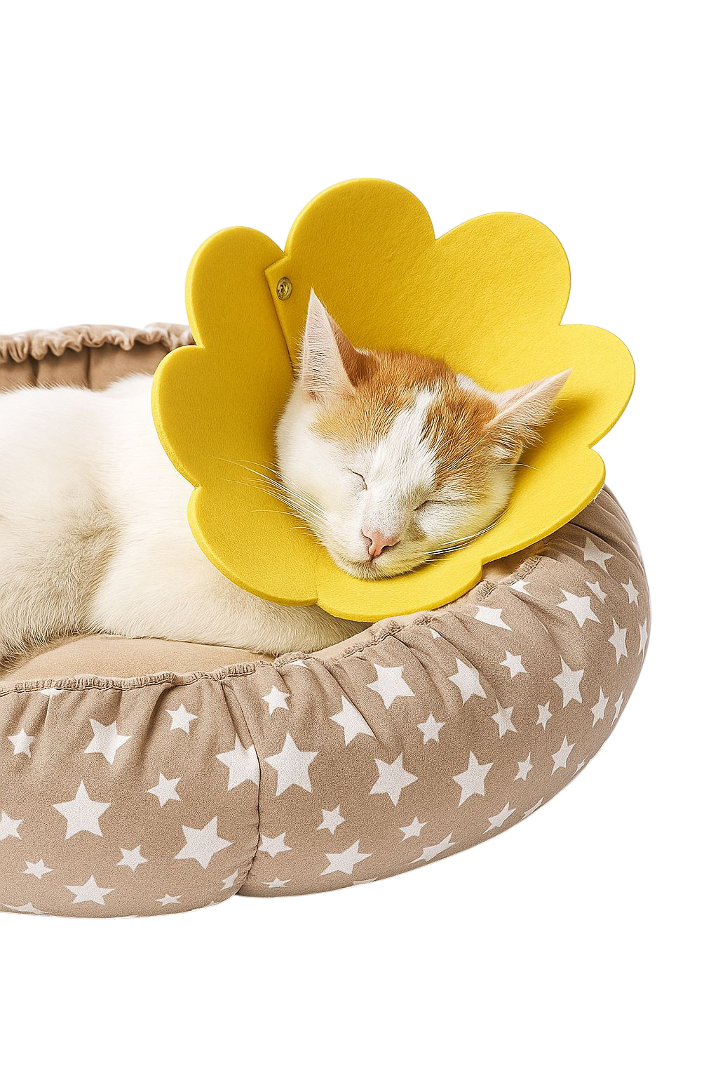 Çiçek Yakalık / Elizabet