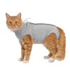Petcase Ameliyat Sonrası Kedi Kıyafeti / Kedi Tulumu / Cerrahi Kıyafet / Postop