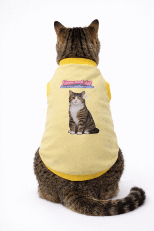 Sorun Sende Değil Ben Aşırı Mükemmelim Kedi Kıyafeti / Kedi Tişört