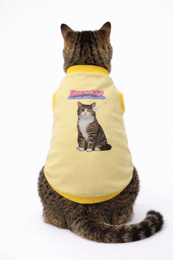 Sorun Sende Değil Ben Aşırı Mükemmelim Kedi Kıyafeti / Kedi Tişört