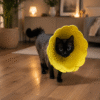 Keçe Kedi & Köpek Yakalığı / Elizabet / Papatya Yakalık / Sarı